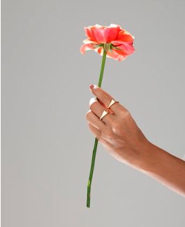 Conecte-se! E venda mais para o seu público feminino